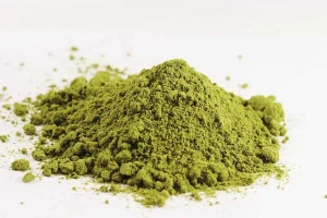 Konopný protein